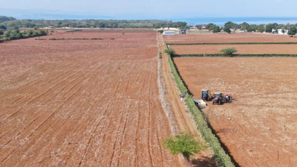 Agricultura tierras