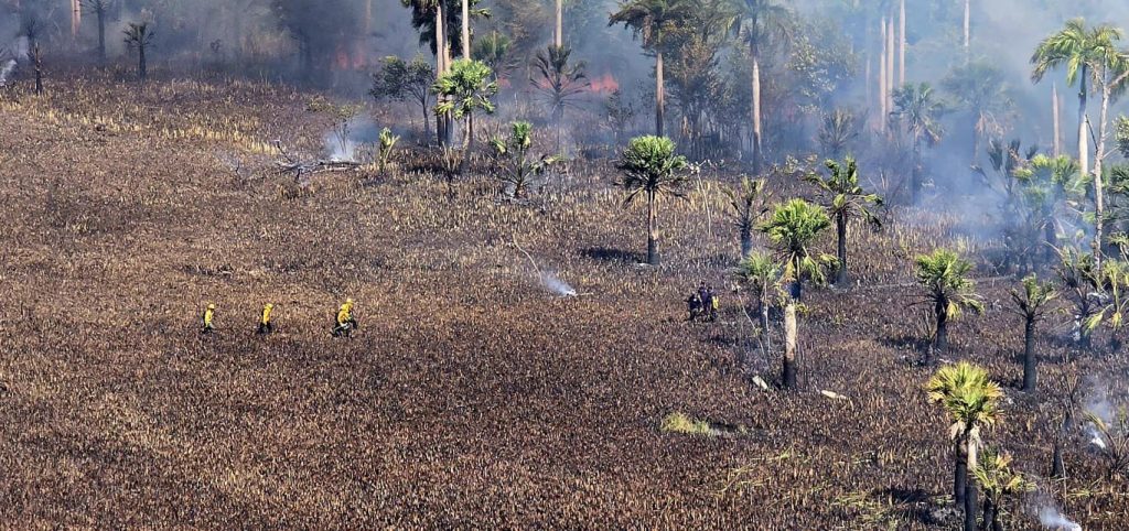 COE y organismos de emergencia