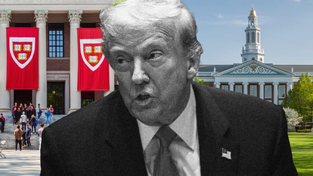 Trump Harvard