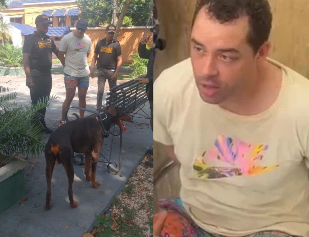 perro