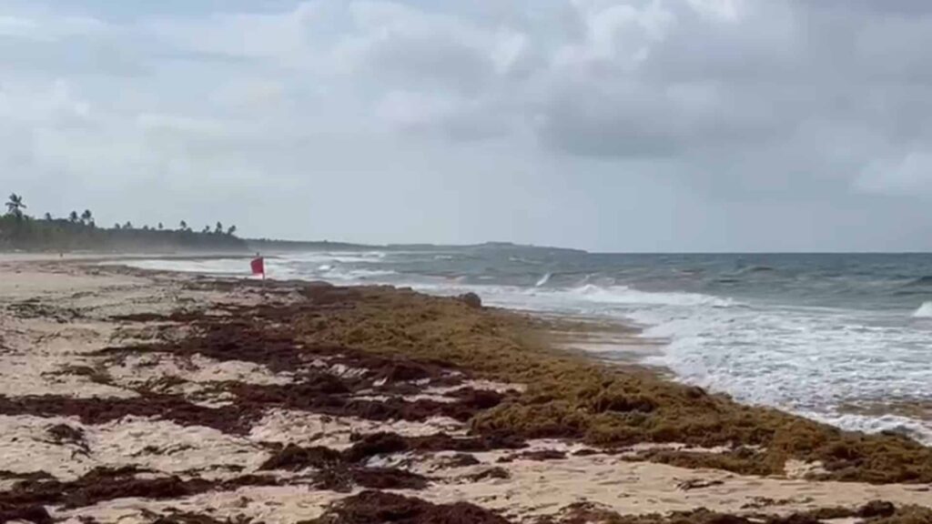 punta cana