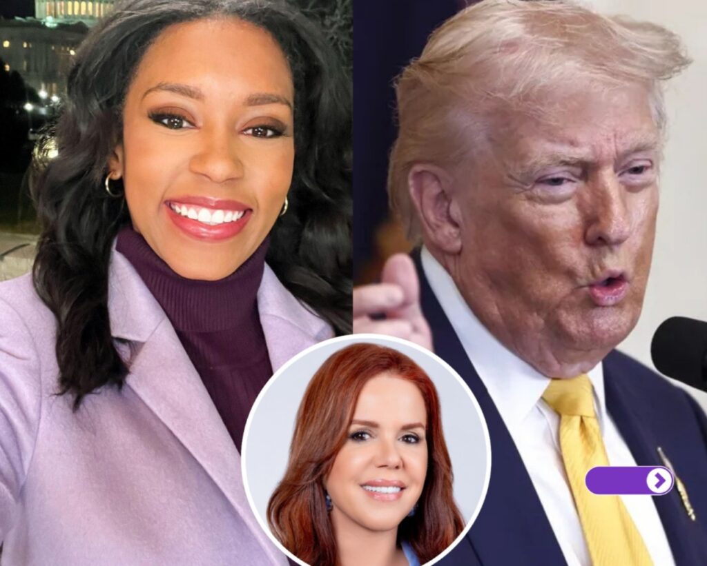 María Celeste Arrarás Trump Rachel Scott insulto periodista