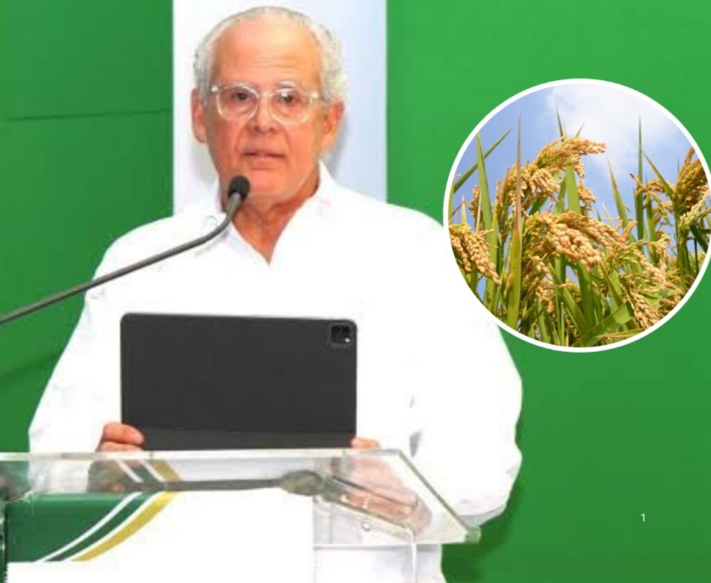 Luis Viyella califica de “demagogia” las críticas de Danilo Medina a los aranceles al arroz arroz